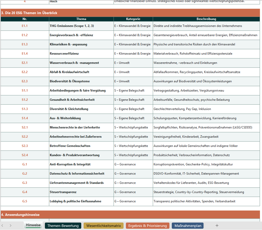 Doppelte Wesentlichkeitsanalyse Light – Thumbnail 2