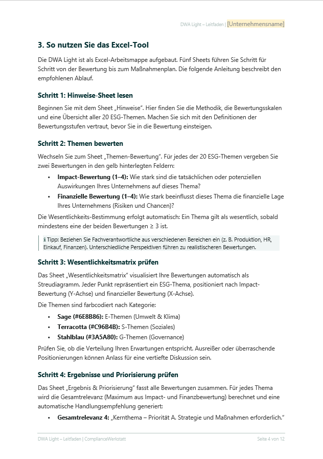 Doppelte Wesentlichkeitsanalyse Light – Thumbnail 7