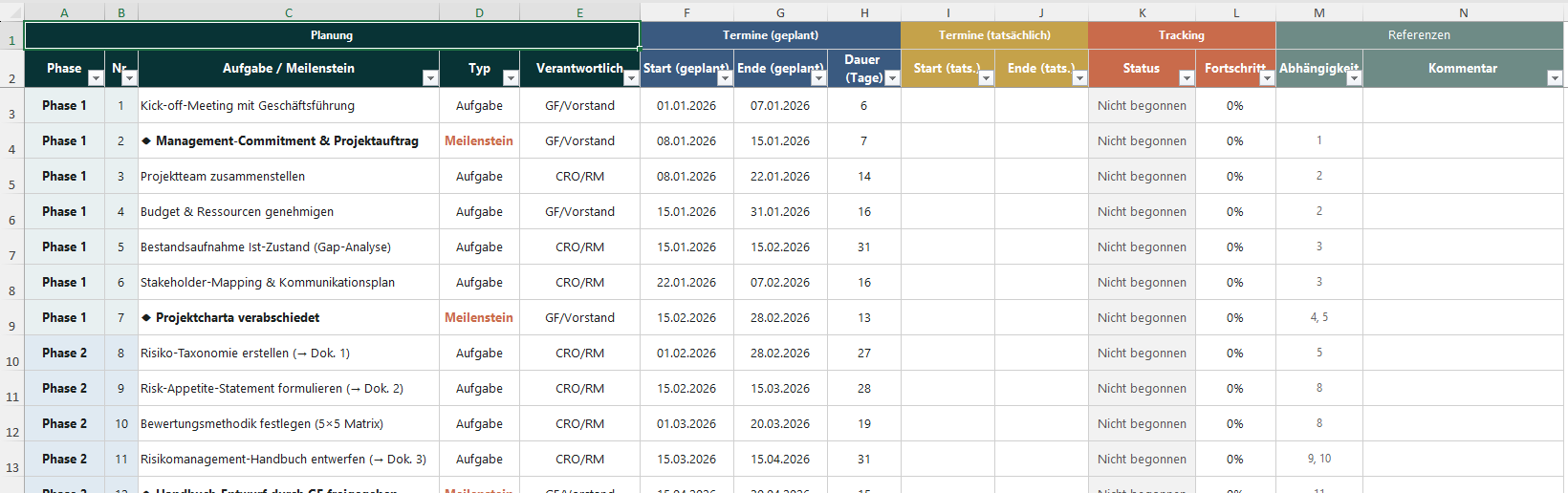 RMS Projekt- & Meilensteinplan – Thumbnail 3