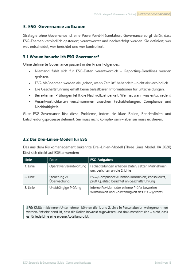 ESG-Strategie & Governance Guide – Thumbnail 4